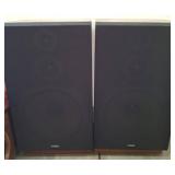 Fisher Floor Speakers with Wood Finish