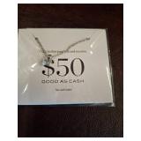 Silver Necklace with Promotional Card