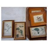 Framed Botanical and Animal Prints