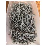 Large Quantity of Phillips-Head Screws