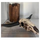 Bovine Skull With Horns and Wooden Decorative Piec