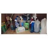 Cleaning Supplies and Spray Bottles