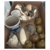 Seashells and Ceramic Vessel