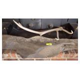 Antler, Stone Slab, and Horseshoes Assortment