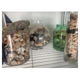Seashells in Glass Containers