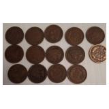 14 Indian Head Pennies