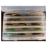 Plastic Fishing Lures in Divided Storage Case