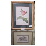 Two Framed Prints: Botanical and Architectural