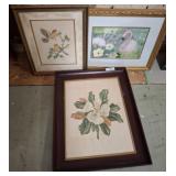 Framed Botanical and Animal Prints
