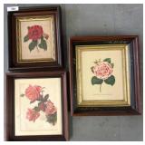 3 Framed Botanical Flower Prints