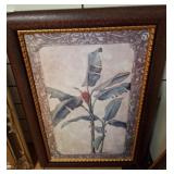 Framed Botanical Print, 28ï¿½42 rm4