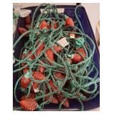 String Lights With Red Bulb