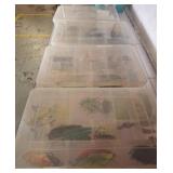 Fishing Lures in Storage Boxes