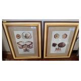 Framed Marine-Inspired Prints, 23ï¿½31 RM4