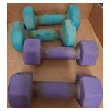 Neoprene Dumbbells in Mixed Weights