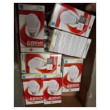 13 Watt LED Bulbs, 60W Equivalent