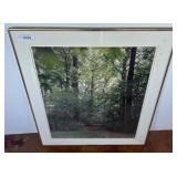 Framed Forest Scene Print, 26ï¿½30 Inches