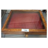 Wood Display Box With Glass Top and Red Lining