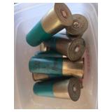 Plastic Shells in Lidded Plastic Container