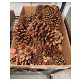 Pine Cones with Painted Accents