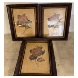 Three Botanical Prints in Wood Frames