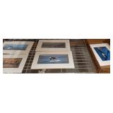Mounted Killer Whale Photographs