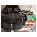 Dog Accessories and Apparel