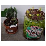 Prickly Pear Cactus and Decor Jar Garden Display