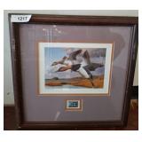 Framed Print and Stamp Display of Waterfowl