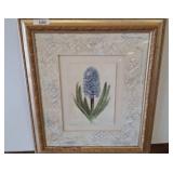Framed Botanical Print of Hyacinth, 25x30