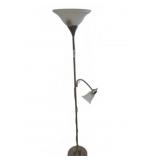 Brushed Nickel Floor Lamp with Task Light