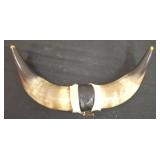 12" Mounted Steer Horns Decor Display