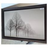 Framed Black and White Tree Photograph, 42x29