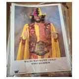 WWF/WWE Memorabilia Photos and Magazine Lot