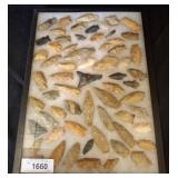 Framed Arrowheads Collection, 12x16 Display