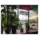 PLANTS