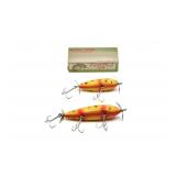 Creek Chub Injured Minnows