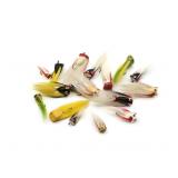 Weber Flyrod Dylite Poppers