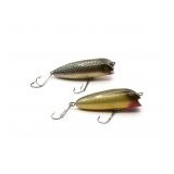 Creek Chub Open Mouth Shiners