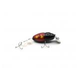 Creek Chub 3855 Beetle