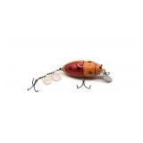 Creek Chub 3853 Beetle
