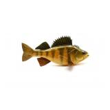 John Oman Fish Decoy