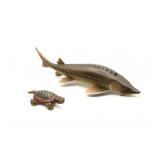 Harley Ragan Fish Decoys