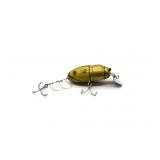 Creek Chub 3851 Beetle