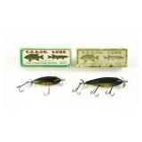 2 Creek Chub Injured Minnows