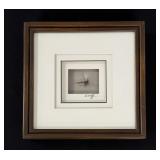 Lee Wulf Framed Fly