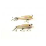 Creek Chub Midget Darters