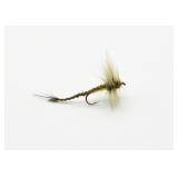 Helen Shaw Mayfly