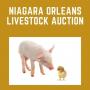NIAGARA ORLEANS LIVESTOCK AUCTION (Live Event!)