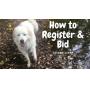 HOW TO REGISTER & BID: *Read, don't bid here*